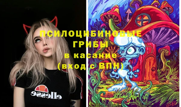 дмт Лихославль