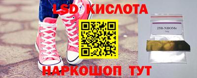 гашик Аргун