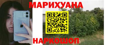гашик Аргун
