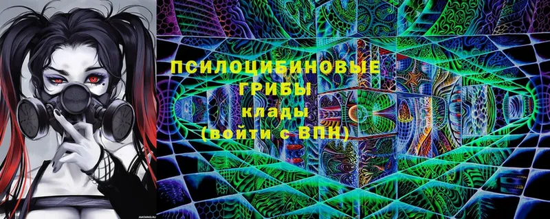 Псилоцибиновые грибы Magic Shrooms  Октябрьский 