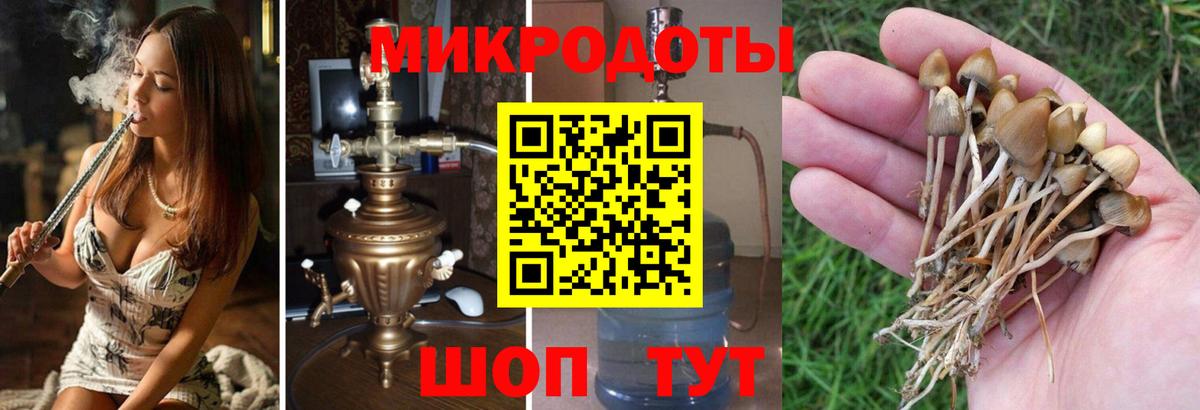 Псилоцибиновые грибы MAGIC MUSHROOMS Октябрьский